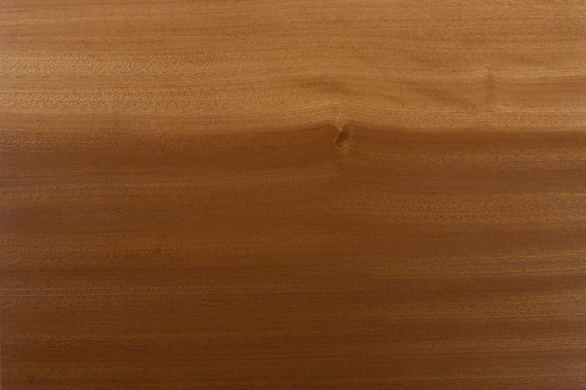 Essence de bois Acajou d'Amérique