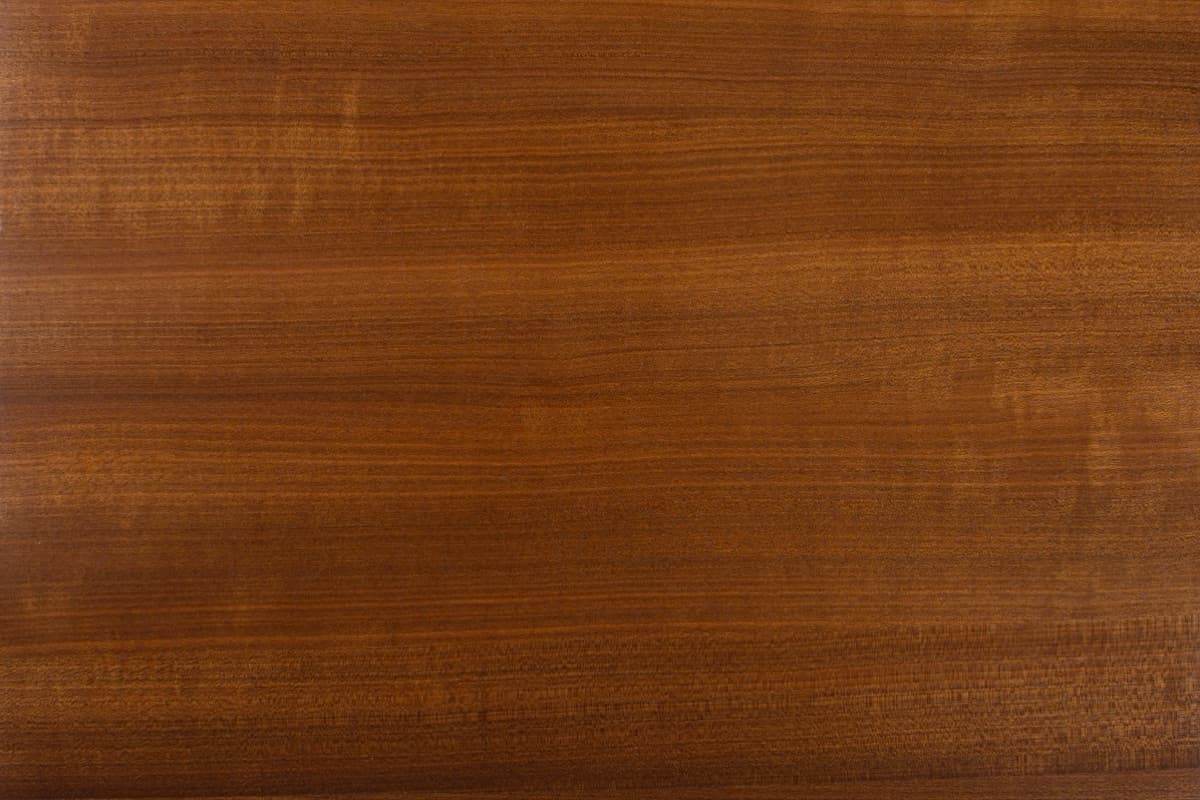 Essence de bois Acajou