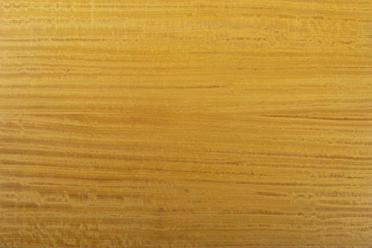 Essence de bois Citronnier