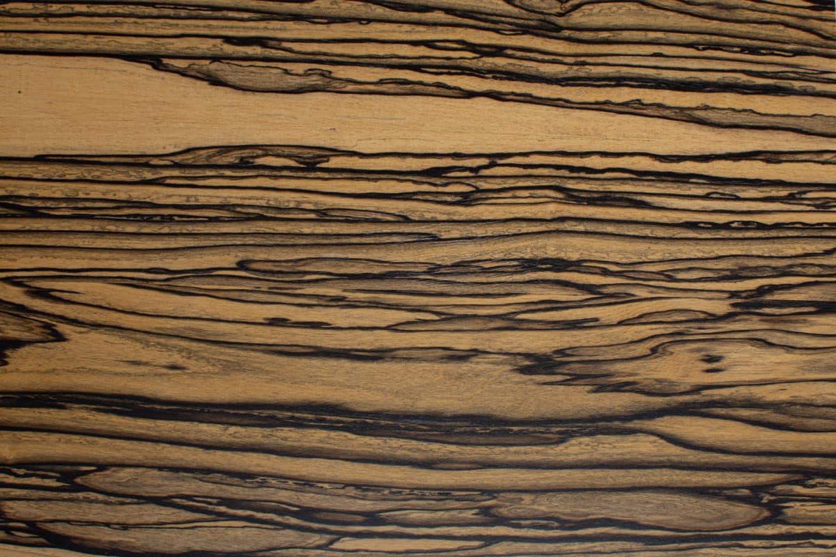 Essence de bois Ébène blanc