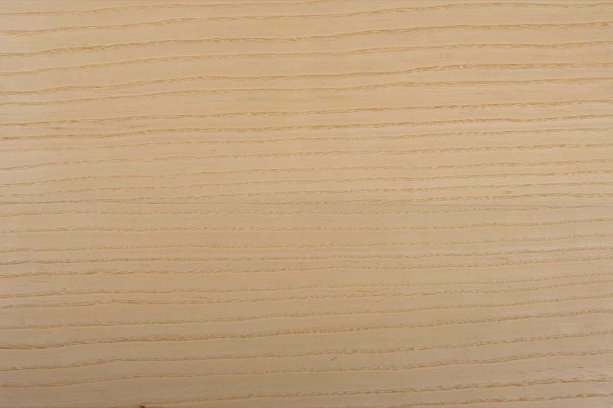 Essence de bois Frêne