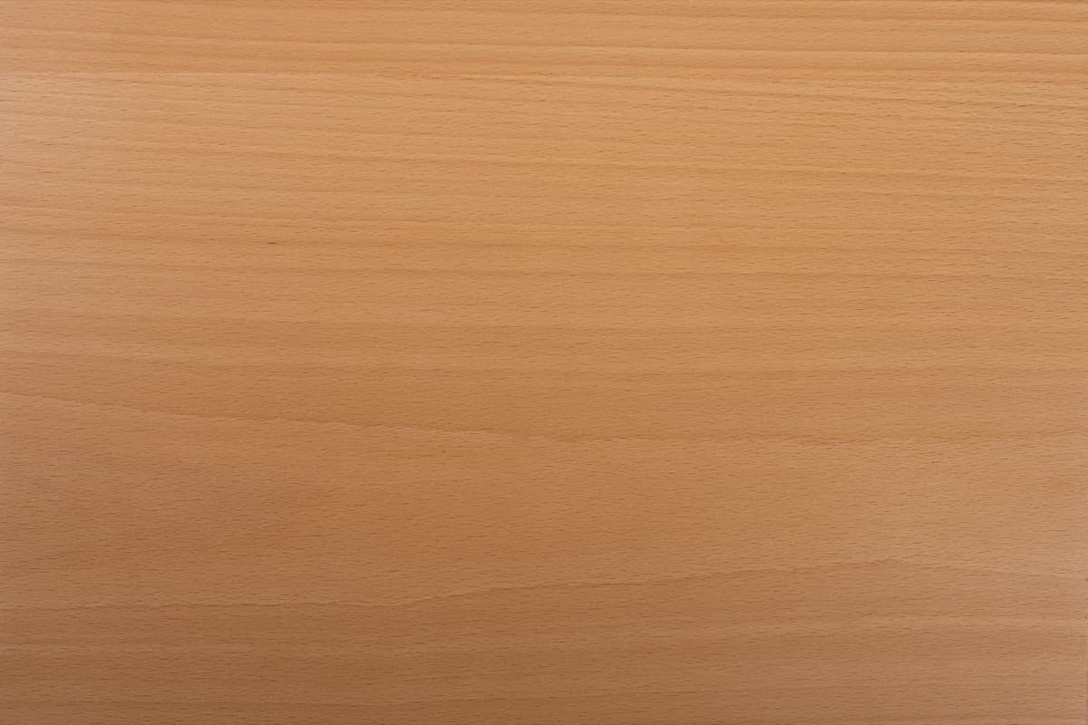 Essence de bois Hêtre
